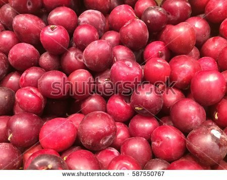 stock-photo-sweet-plums-587550767.jpg