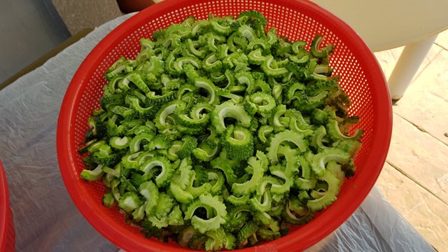 20180908_083456.jpg