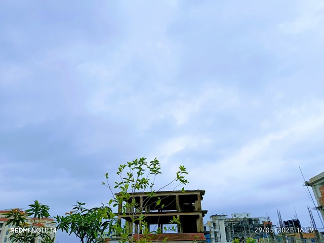 IMG_20250529_161941.jpg