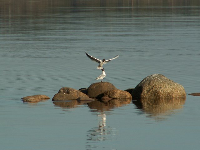 PICT0233.jpg