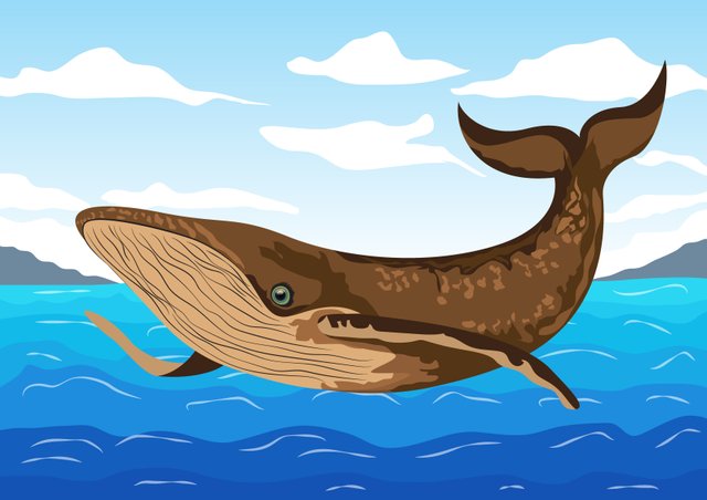 Big-Whale-Vector-NFT-Art.jpg