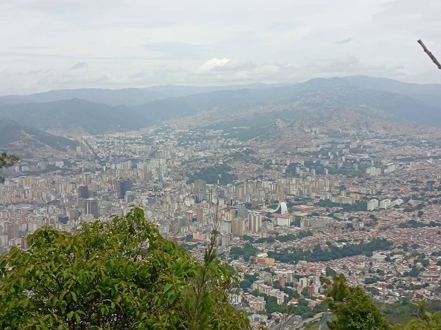 IMG_20250712_112923.jpg