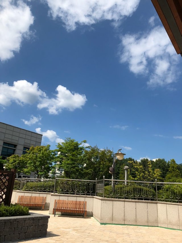 KakaoTalk_20180729_192550915.jpg