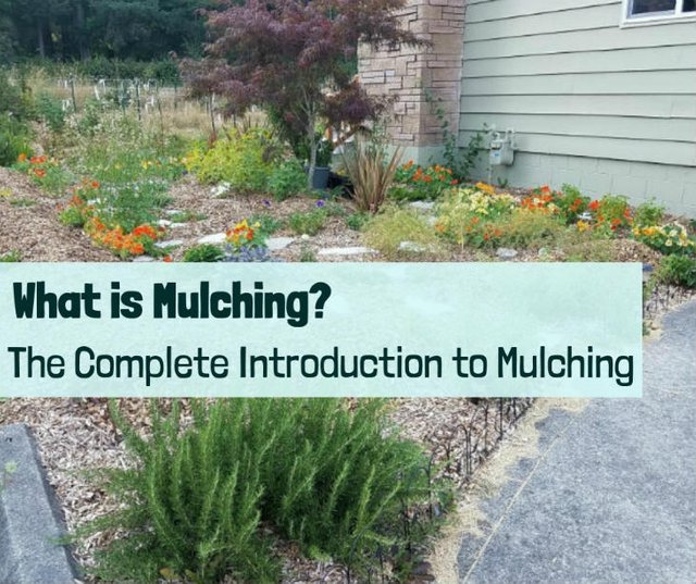 mulching-featured.jpg