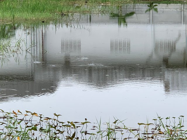nature104.jpg