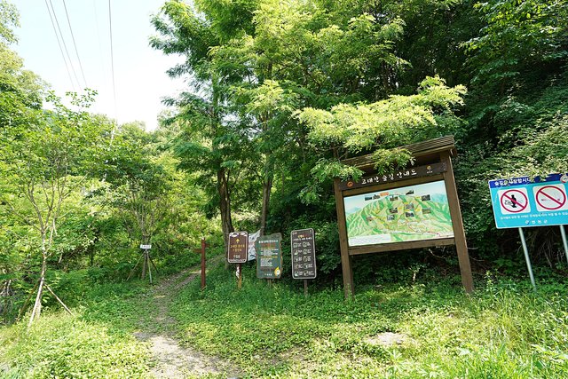 b-DSC07743.JPG