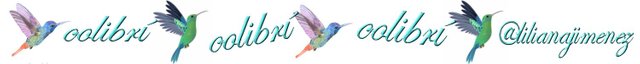 colibrí.jpg