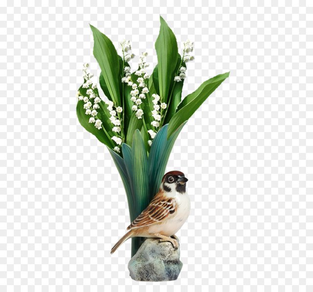 kisspng-lily-of-the-valley-may-1-happiness-amulet-luck-lily-of-the-valley-5ac45f7cd2fc75.3915451615228189408642.jpg