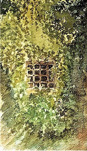 gli_occhi_dell_edera_(2006)ccccc.jpg