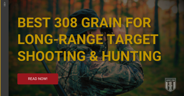 (74) Best 308 Grain for Long-Range Target Shooting & Hunting.png
