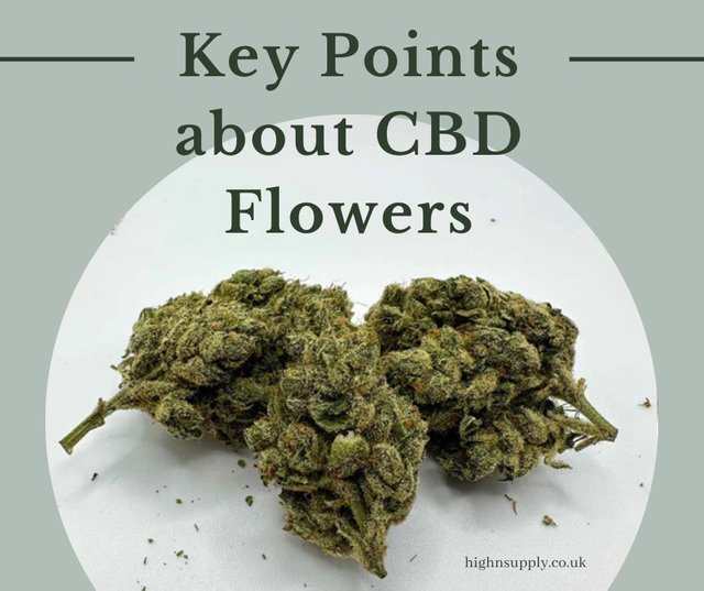 Key points about CBD Flowers.jpg