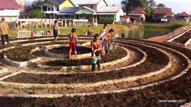 Institut_agroekologi_Indonesia_Mandala #5.jpg