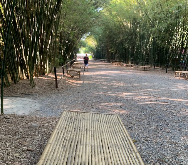 Bamboo Tunnel27.jpg