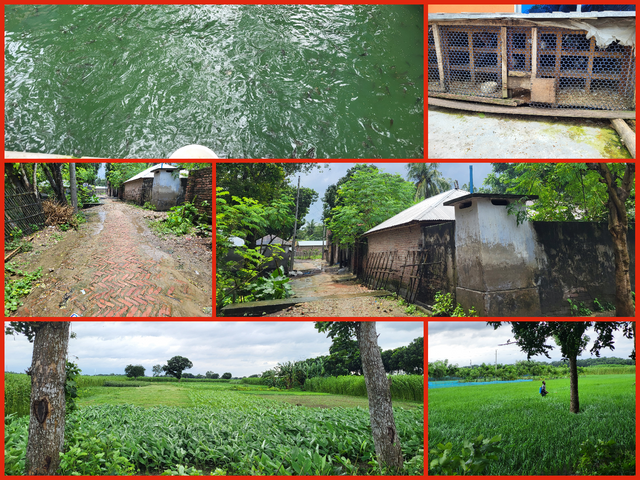 photo-collage.png(2).png