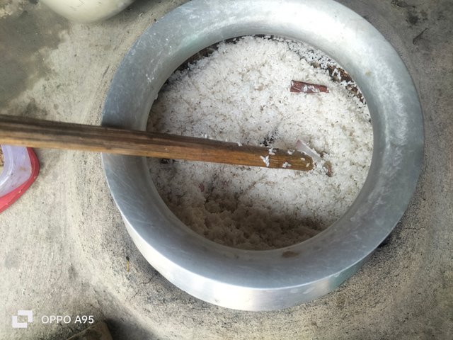 IMG20250412132725.jpg