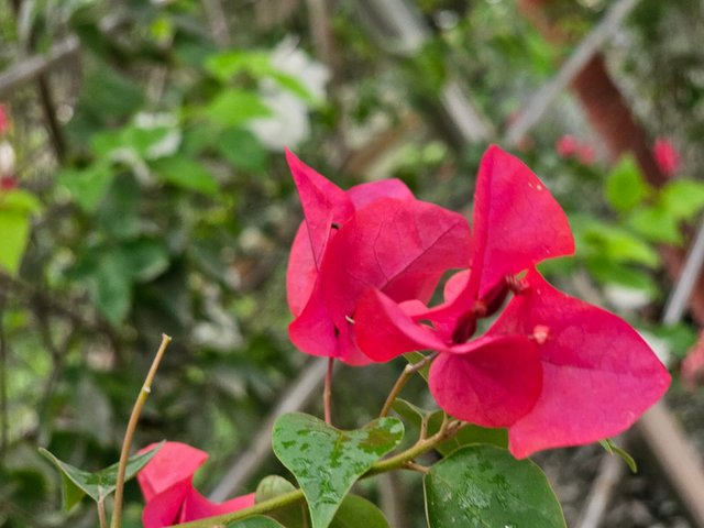 20250417_130703.jpg
