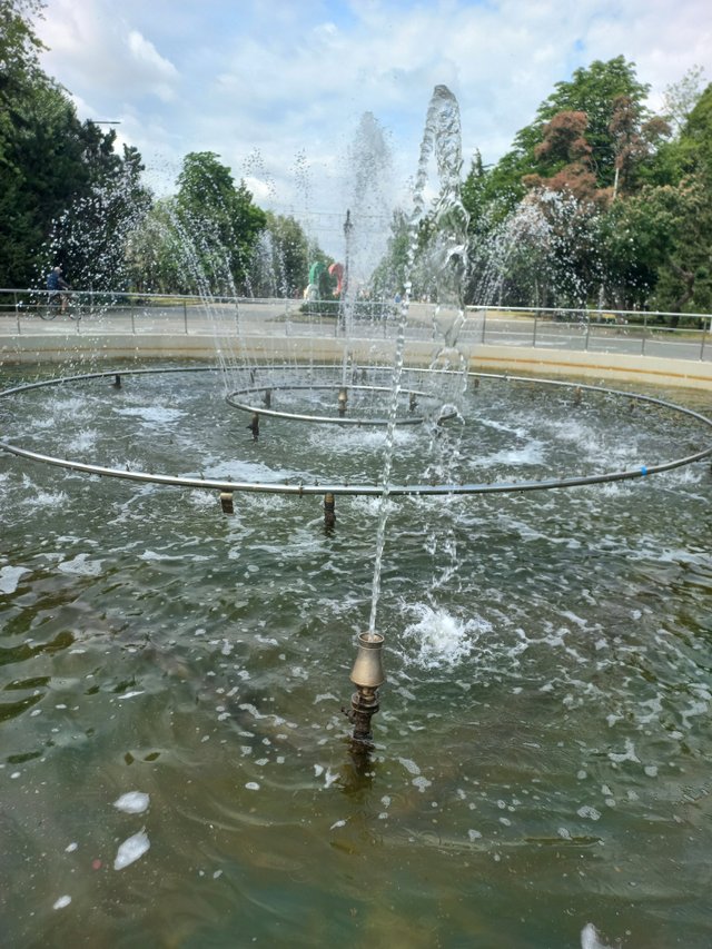 20250628_101253.jpg