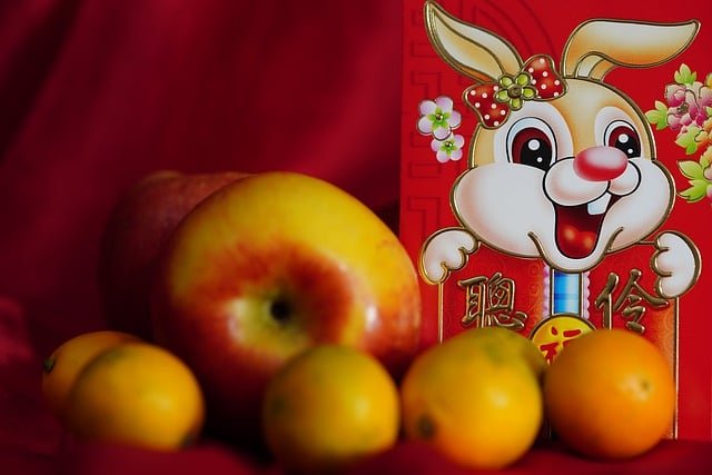 rabbit-new-year-7710984_640.jpg