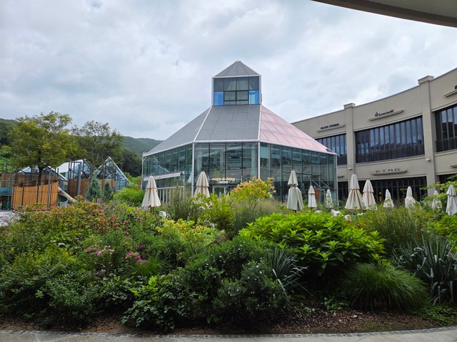 20250906_114006.jpg