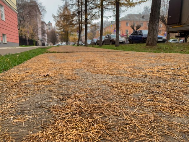 2025-10-24 10-59-47.jpg