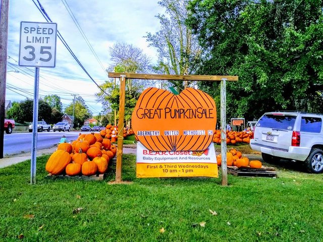 Pumpkin Sale.jpg