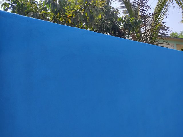 IMG_20250306_163010.jpg