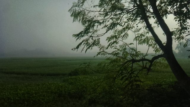 IMG_20231013_072251-01.jpeg