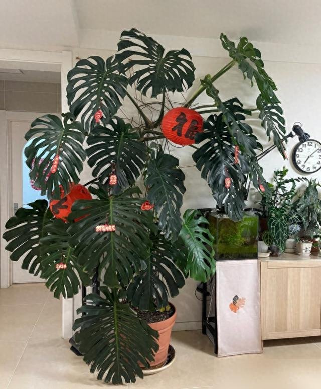 63f3c882da164c5baaceb88e44915f80~tplv-tt-origin-web_gif.jpeg