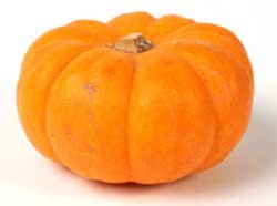 pumpkinWeb.jpg