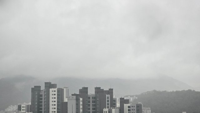 1000130731.jpg