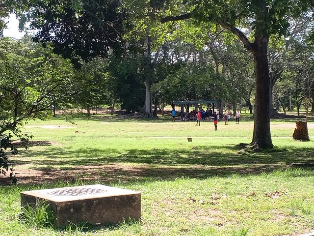 IMG_20250909_101822_092.jpg
