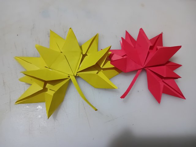1000059368.jpg