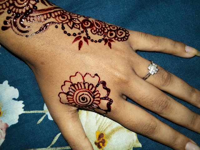 IMG20250823222002.jpg