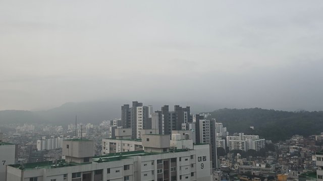 1000138914.jpg