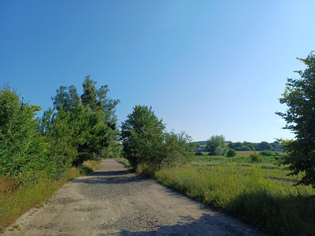 20250720_083220.jpg