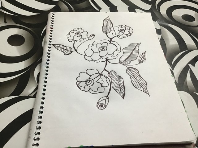 IMG_1287.jpeg