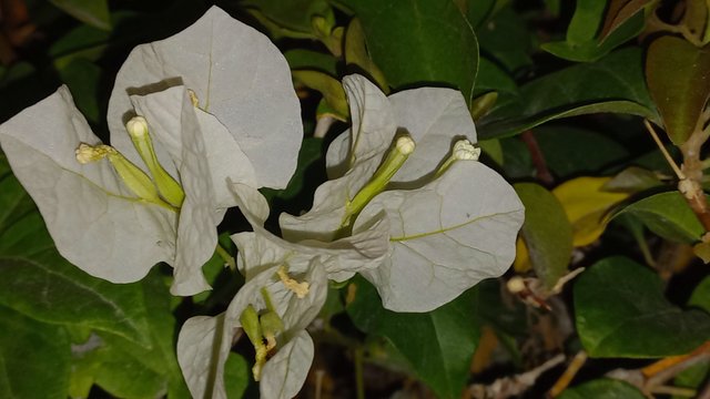 20240218_015801.jpg