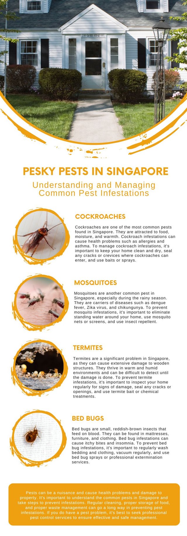 Managing Common Pest Infestations in Singapore.jpg