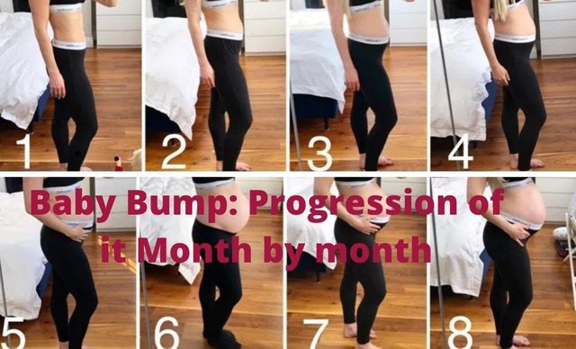 Baby-Bump_-Progression-of-it-Month-by-month.jpg