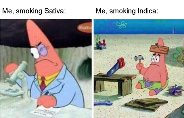 indica.png