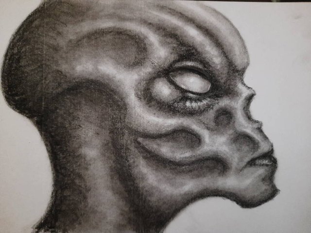 20250622_095818.jpg