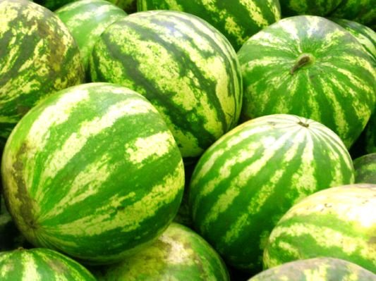 watermelons-uncut.jpg.cf.jpg