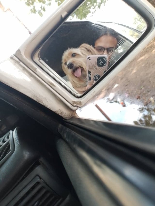 3.jpeg