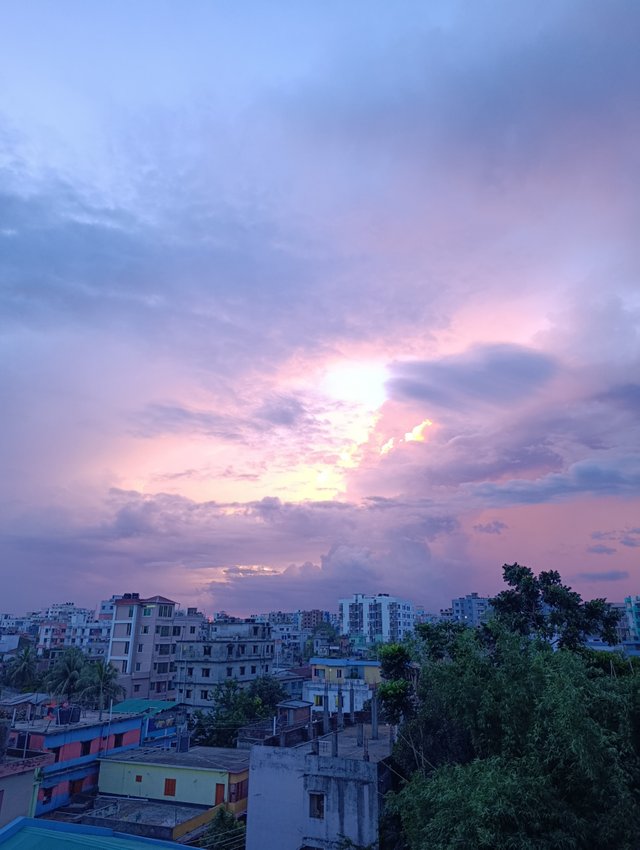 1000003801.jpg
