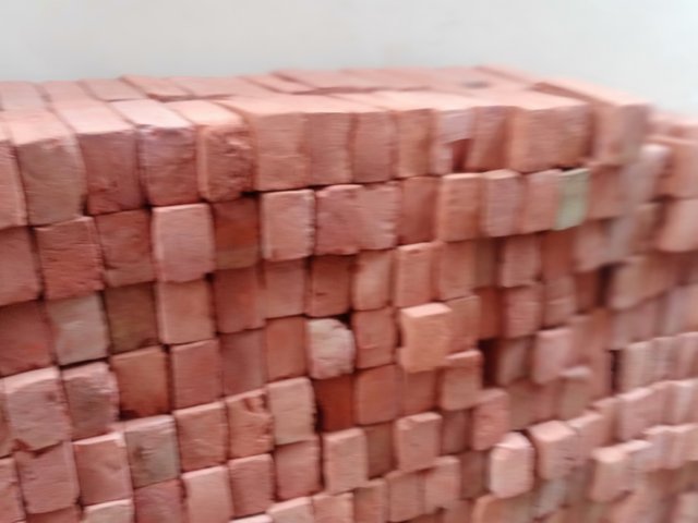 IMG20250730151950.jpg