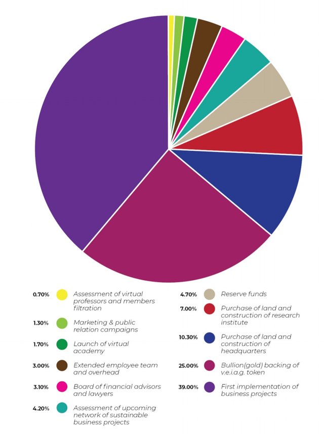 veiag funds allocation.jpg