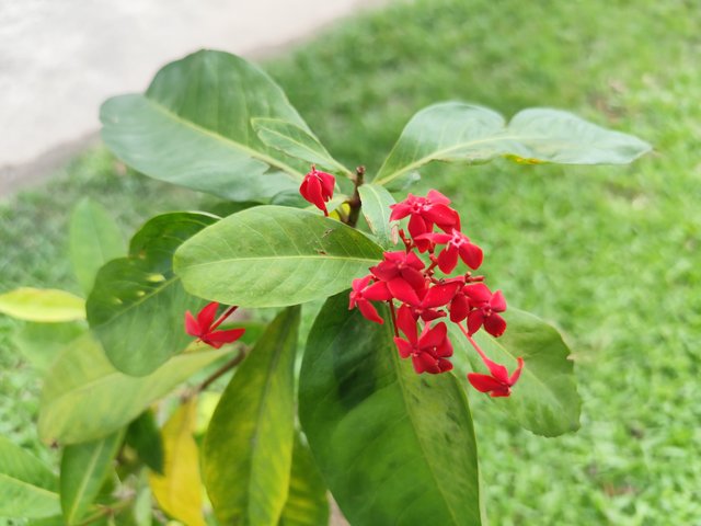 IMG_20250702_115255_1.jpg