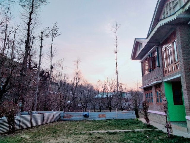 IMG20220313183416.jpg