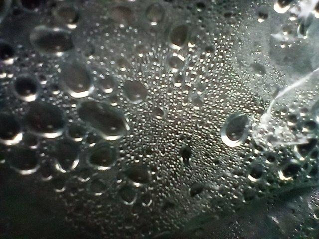 1000826136.jpg