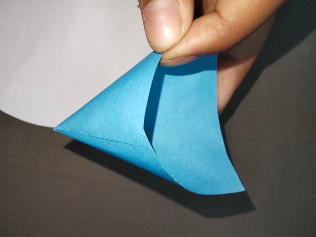 IMG20250720164317.jpg
